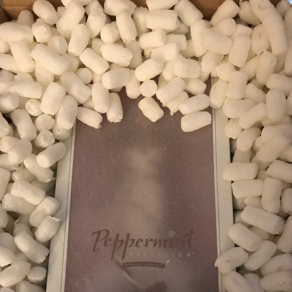 MIB TISSUED Peppermint Obsession Barbie Limited Ed PERFECT GIFT! - Picture 2 of 8